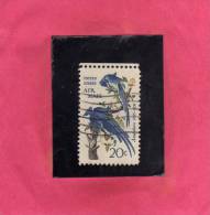 USA - STATI UNITI 1967 AIRMAIL COLUMBIA JAYS BIRDS Uccelli Vogels Oiseaux Birds Aves John J. Audubon1785-1851 USED - 3a. 1961-… Gebraucht