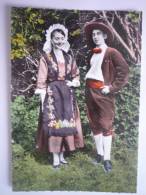 Le Dauphine Pittoresque - 5 - Couple Dauphinois En Costume Regional ( 2 Scann ) - Altri