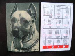 Calendar From Latvia 1979 Year, Animal Dog - Klein Formaat: 1971-80