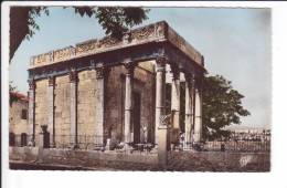 CP  - TEBESSA - Le Temple De Minerve - Tebessa
