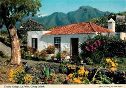 CPSM Country Cottage-La Palma-Canary Islands   L1254 - La Palma