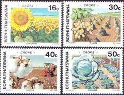 Bophuthatswana - 1988 - Crops - Complete Set - Bophuthatswana