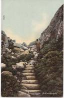 The Roman Steps Nr.Cwmbychan, The Wrench Series Postcard, - Merionethshire