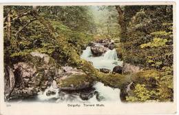 Dolgelly, Torrent Walk, Postcard - Merionethshire