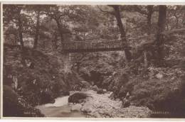 Dolgelly, Torrent Walk, Postcard, Bridge, Loxton - Merionethshire