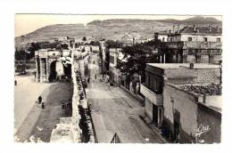 Algerie: Tebessa, Porte De Caracalla Et Les Remparts (13-794) - Tébessa
