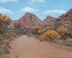 (901) Australia - SA - Arkaroola - Other & Unclassified