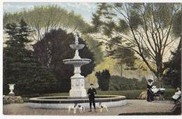 The Fountain Sophia Gardens, Cardiff, Wales, Dog / Dogs M J R Postcard - Municipios Desconocidos