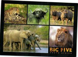 BIG FIVE  South Africa Elephants Lion ..  Recto Verso Beau Timbre South Africa - South Africa