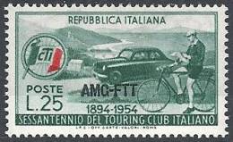 1954 TRIESTE A TCI MH * - RR11361 - Mint/hinged