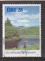 Q0455 - IRLANDE IRELAND Yv N°600 - Used Stamps