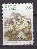 Q0471 - IRLANDE IRELAND Yv N°658 - Used Stamps