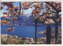 LOCARNO - Lago Maggiore, Vista Da Orselina,  Used 2009 - Orselina