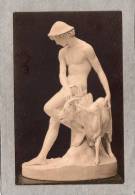 37822      Belgio,    Musee  De  Bruxelles -  Daphnis  Par  Cattier,  NV - Museos