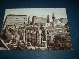 Luxor - Amen Ra Temple And Haggag Mosque - L123 - Luxor