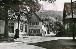 Mars13 844 : Environs Offenbourg  -  Oberkirch-Gaisbach - Oberkirch