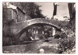 CPSM  VALLERAUGUE  MT AIGOUAL   Vieux Pont De La Confrerie - Valleraugue