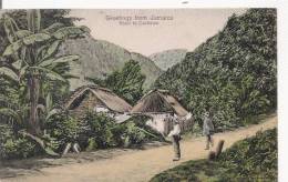 GREETINGS FROM JAMAICA  ROAD TO CASTLETON - Jamaica