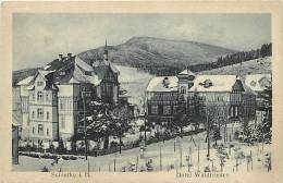 Mars13 861 : Schierke I. H.  -  Hotel Waldfrieden - Schierke