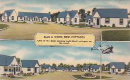 Florida Saint Augustine Blue & White New Cottages - St Augustine
