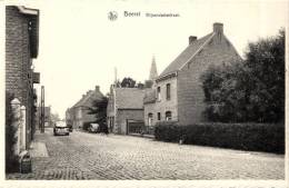 BELGIQUE -  FLANDRE OCCIDENTALE - DIKSMUIDE - DIXMUDE - BEERST - Wijnendaelestraat. - Diksmuide