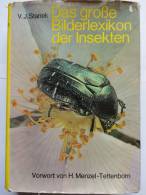 "Das Große Bilderlexikon Der Insekten" Von V.J.Stanek - Animales