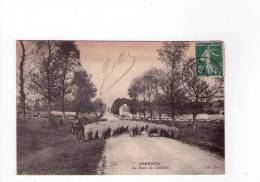 94 - Ormesson La Route Des Châtelets ( Troupeau De Moutons ) - Ormesson Sur Marne