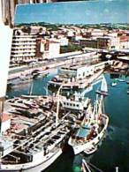 SENIGALLIA MOLO PORTO BARCHE NAVE PESCA SHIP FHIS VIGLIENA   VB1976   EE14244 - Senigallia