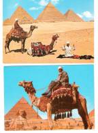 Egypt - Ägypten - 2 AK Set Giza Pyramid - Camel - Sphinx - Khafre - Pyramids
