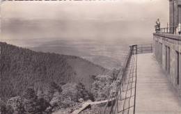 Cp , 67 , MONT-SAINTE-ODILE , Alt. 703 M. , La Terrasse à Côté De La Salle Herrade - Sainte Odile