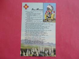 New Mexico By Anna B. Stevenson-- Indian  Linen      Not Mailed Ref 891 - Andere & Zonder Classificatie