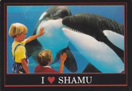 Killer Whale , SHAMU , Sea World Of Texas , PU-1990 - Ohne Zuordnung