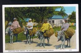 RB 926 - Early Postcard - 4 Ladies On Mules - On The Way Home From Market - Jamaica West Indies - Giamaica