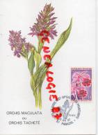 87 - PANAZOL -  FLEUR- ORCHIS MACILATA OU ORCHIS TACHETE- AVRIL 1987 - Panazol