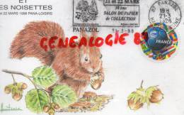 87 - PANAZOL -  L' ECUREUIL ET LES NOISETTES - MARS 1998- ILLUSTRATEUR VILLAUTREIX -18 EXPOSITION CARTES POSTALES - Panazol