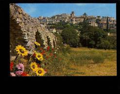 BIOT Alpes Maritimes 06 : Vue Générale Du Village - Biot