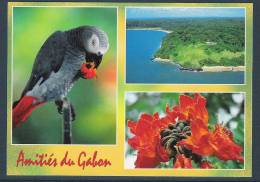 GABON  Carte Postale Perroquet Gris, Tulipier, Phare - Gabon