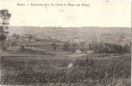 RENAIX Panorama Pris Du Chalet La Reine Des Villas -  Timbrée 1908 TB - Renaix - Ronse