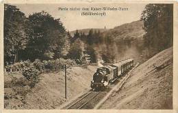 Mars13 941 : Partie Nächst Dem Kaiser-Wilhelm-Turm  -  Schläferskopf  -  Train  -  Chemin De Fer - Taunus