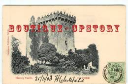 EIRE - INLAND - CORK - Blarney Castle - Munster - Corcaigh Ireland - Chateau En Irlande - Dos Scanné - Otros & Sin Clasificación
