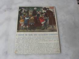 L'Arbre De Noel Des Alsaciens  Lorrains   Illustrateur  Robert  Sallés - History