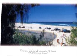 (100) Australia - QLD - Fraser Island - Sunshine Coast