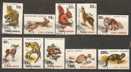 Romania 1993  Animals-Mammals  (o) - Oblitérés