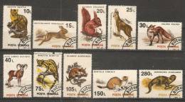 Romania 1993  Animals-Mammals  (o) - Gebraucht