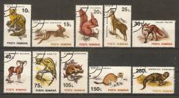 Romania 1993  Animals-Mammals  (o) - Usati