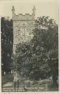 CORNWALL - MANACCAN CHURCH TOWER AND FIG TREE RP T118 - Other & Unclassified