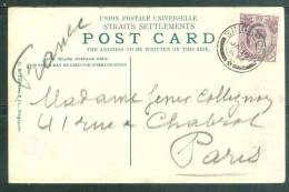 Timbre De Malaisie Yvert N°93 Oblitéré CAD Singapour Affranchissant 1 CPA POUR LA FRANCE EN 1907  - Ab5604 - Straits Settlements