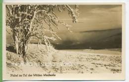 Nebel Im Tal Der Wilden Weißeritz,  Verlag:  Eulitz, Radeburg, POSTKARTE ,  Unbenutzte Karte ,  Erhaltung: I-II - Freiberg (Sachsen)