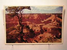 Grand Canyon - Altri & Non Classificati