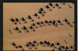 Postkarte (CP) Neu, Dromedarkaravane Bei Fachi Agadez Niger - Siehe Bild - Ca. 20 X 14 Cm - Niger